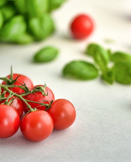 Tarte tomate burrata 