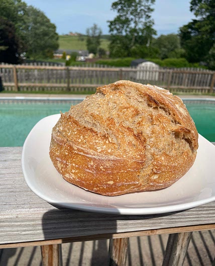 Terrie’s extra sour whole wheat sourdough bread