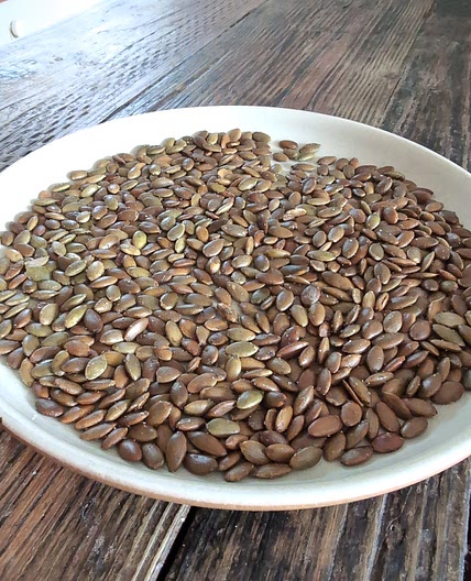 Roasted Pumpkin Seeds