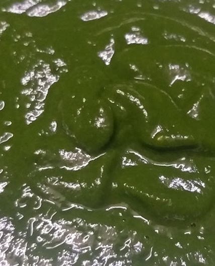धनिया की मसालेदार चटनी (dhaniya chutney recipe in hindi)