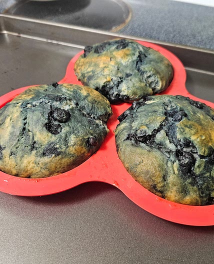 Bo-berry biscuits