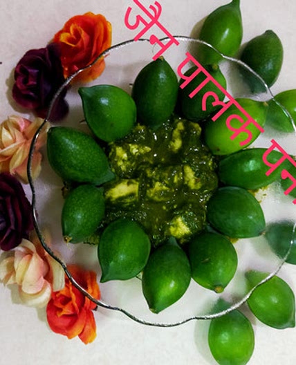 जैन पालक पनीर (jain palak paneer recipe in hindi)