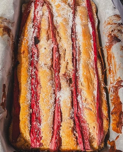 Moist Rhubarb Cake at high altitude 4,500'