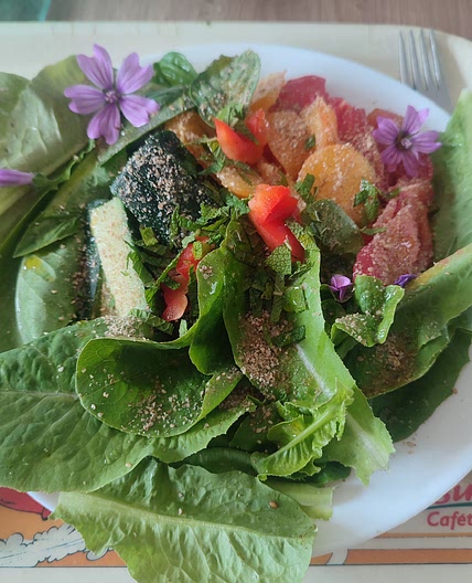 CG 10 - Salade fraîcheur de saumon et légumes grillés