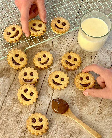 Biscuits chocolat BN