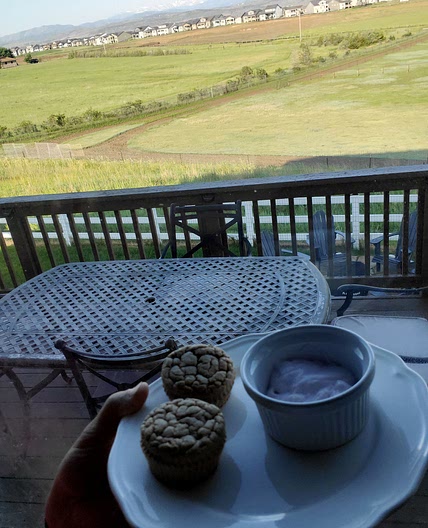 Protein Muffins + Greek Yogurt