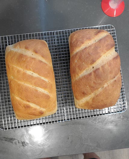 Country loaf (no knead option)