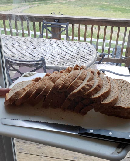 Whole Wheat Sandwich Bread