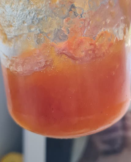 Confiture abricot maison