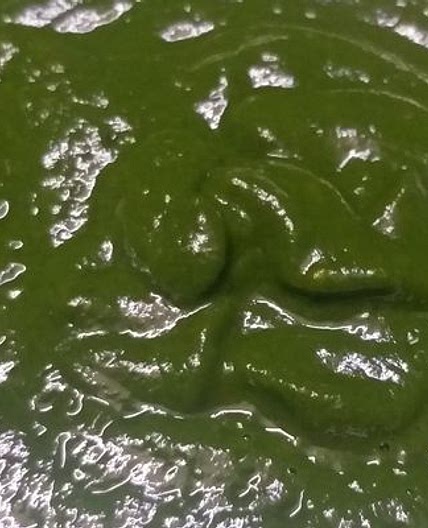 धनिया की मसालेदार चटनी (dhaniya chutney recipe in hindi)