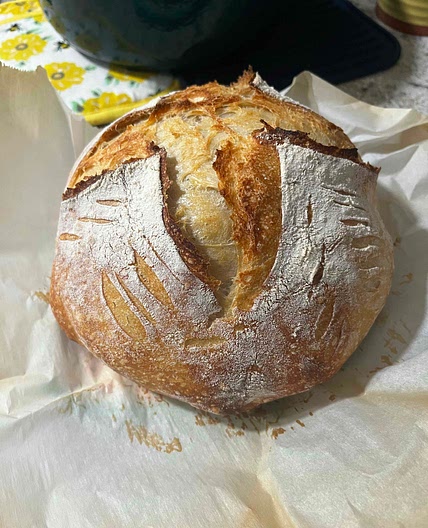 8 hr Sourdough Loaf