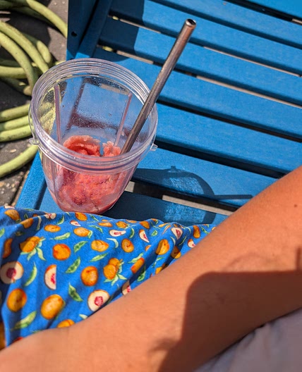 Watermelon Mint Summer Slushie Blast