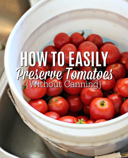 How To Freeze Tomatoes - Preserving Tomatoes Without Canning