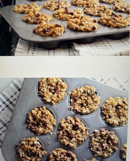 Gf Chocolate Chip Oatmeal Protein Muffins