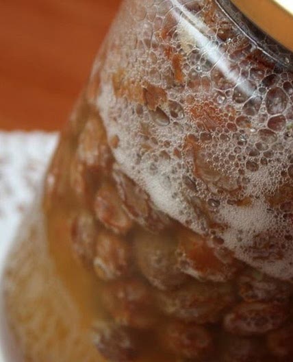 Raisin Yeast