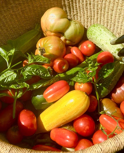 Windy Prospect Summer Garden Salad