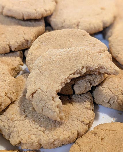 Sugar Free Coconut Cookies