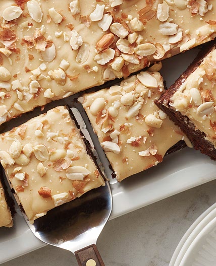 Salted Peanut Glazed Brownies