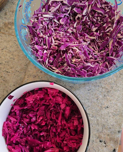 Honey–Apple Cider Vinegar Quick Cabbage Pickle