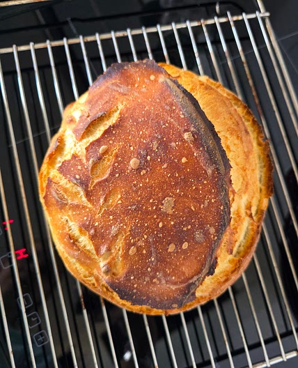 Brood