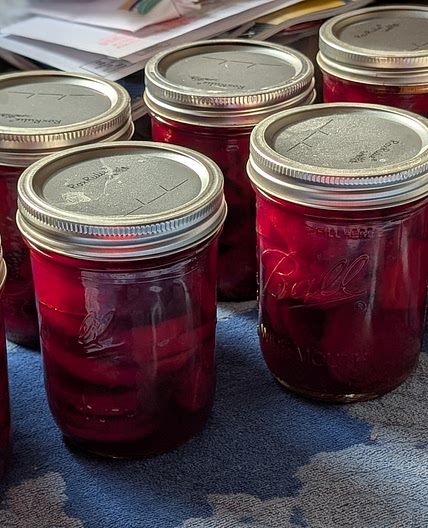 Pickled Beets