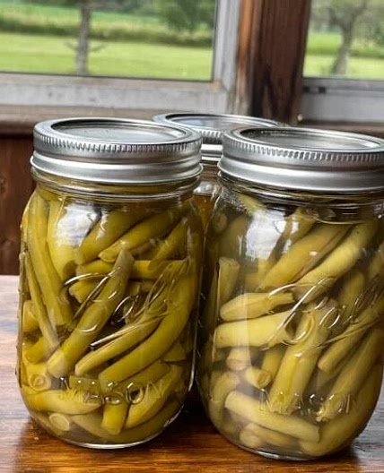 Pressure Canned Green Beans