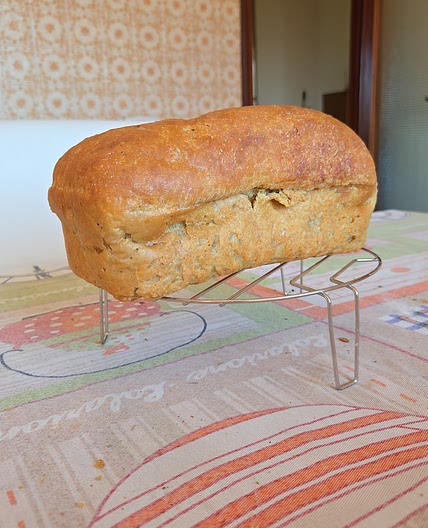 Pane proteico