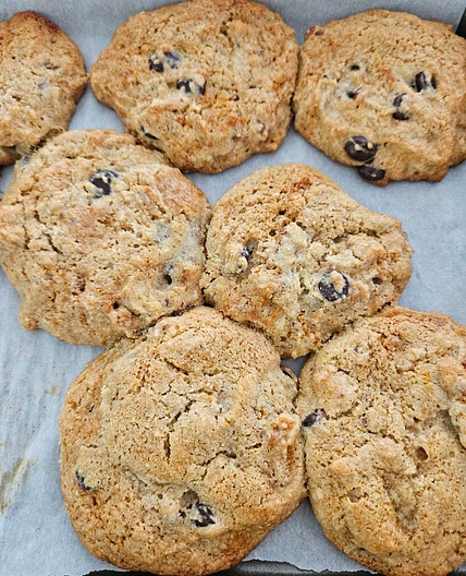 Tahini chocolate chip cookies