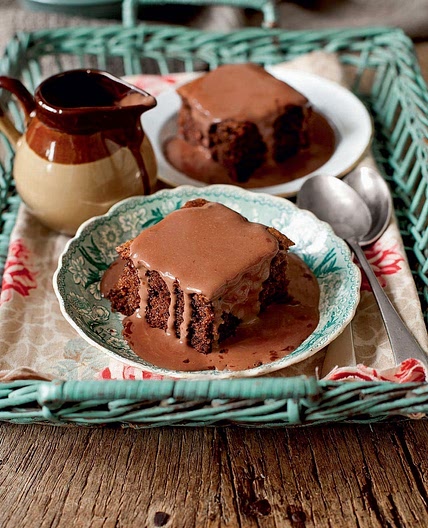 Chocolate sponge with chocolate custard