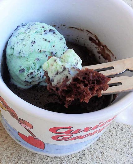 Chocolate Ice Cream Mug Cake