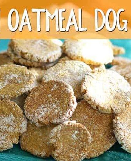 Pumpkin Oatmeal Dog Treats