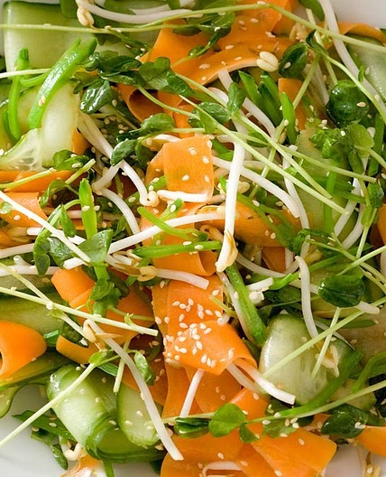 Asian carrot and sprout salad