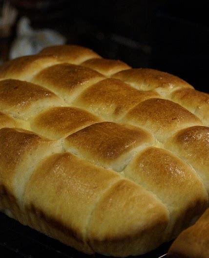 Soft Dinner Rolls