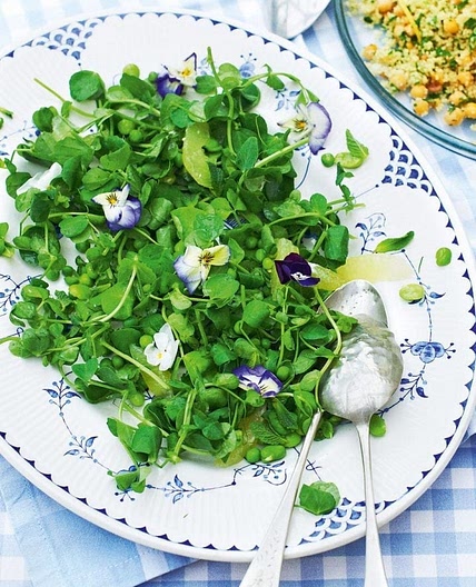 Pea shoot salad