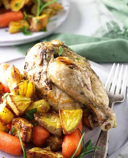 Instant Pot Frozen Cornish Game Hens