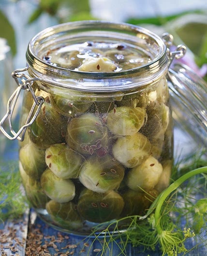 Eingemachter Rosenkohl