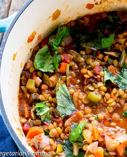 Vegetable Ragu - a perfect dish for your dinner table