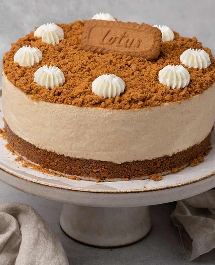 No-bake Lotus Biscoff Cheesecake (VIDEO)