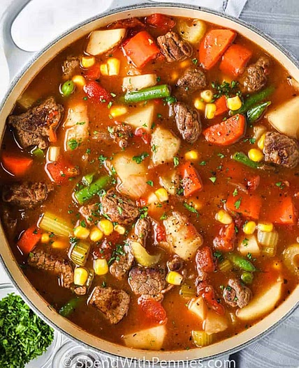 Vegetable Beef Soup
