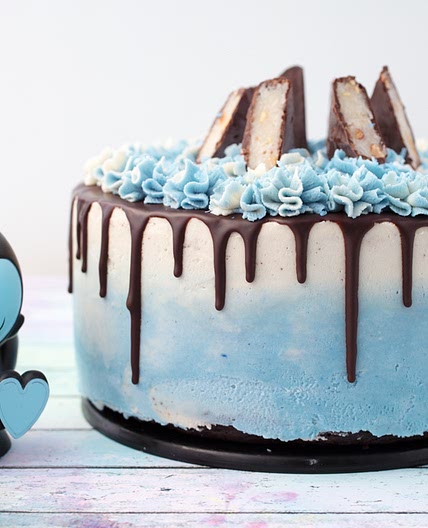 Vegan Chocolate Coconut Cake