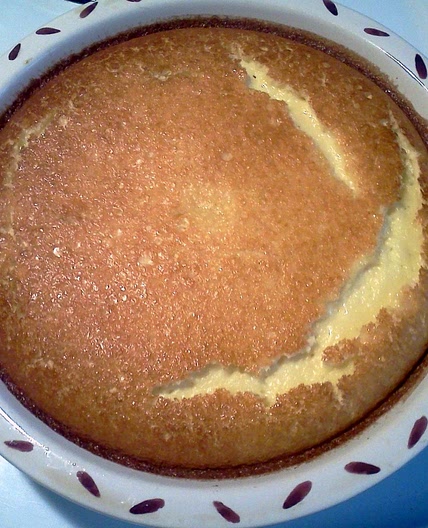 Bisquick Custard Pie