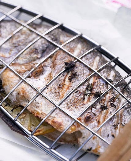 Dorade aus der Zange