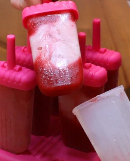 Frozen Yogurt Popsicles