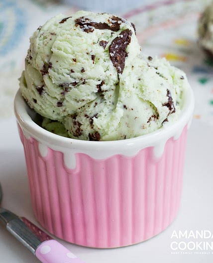 Mint Chocolate Chip Ice Cream