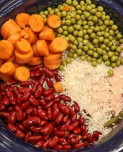 Easy Homemade Dog Food Crockpot Recipe with Ground Chicken