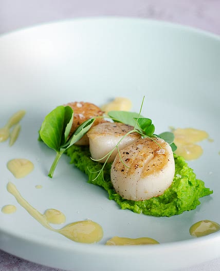 Seared Scallops with Pea Puree & Butter Sauce