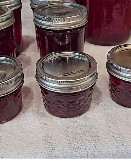 Homemade Canned Grape Jelly