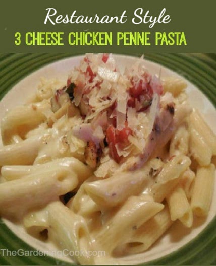 3 Cheese Chicken Penne with Alfredo Sauce