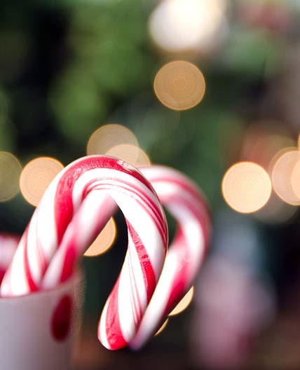 Homemade Candy Canes