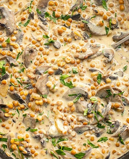 Lentil Mushroom Stroganoff Recipe